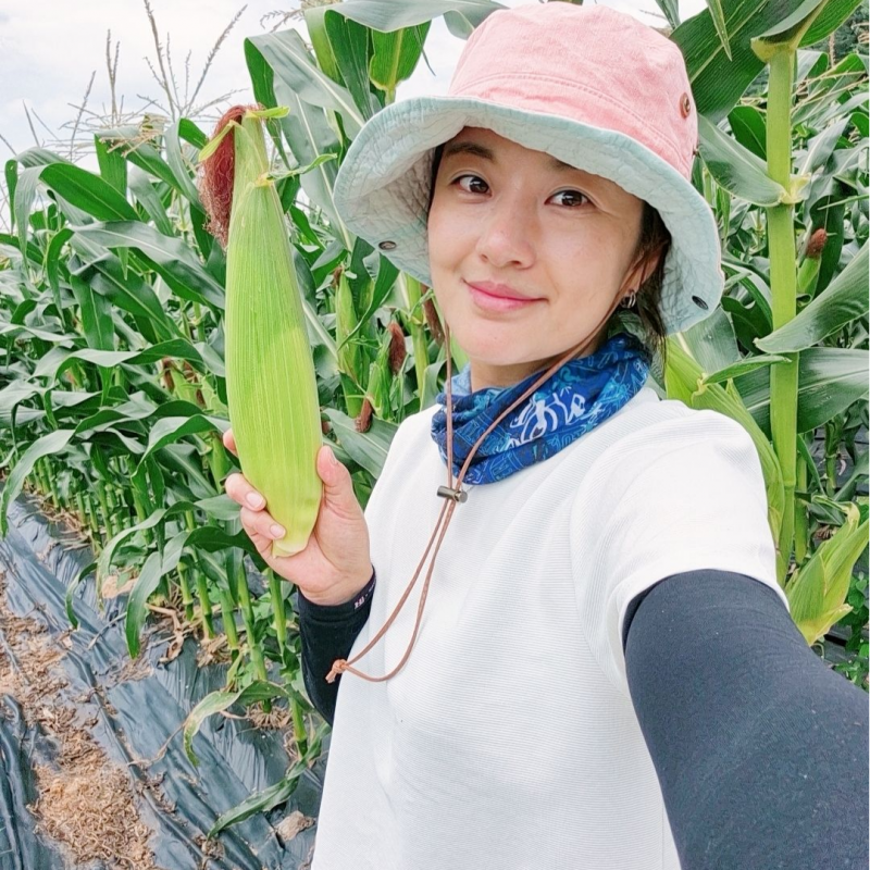 강원더몰,[예약]강원도 화천 찰옥수수 쫄깃쫄깃한 미백찰옥수수 50개