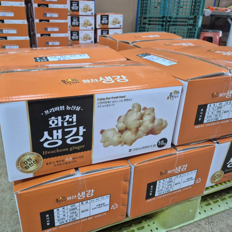 강원화천몰,강원도 화천 25년 햇생강 생강